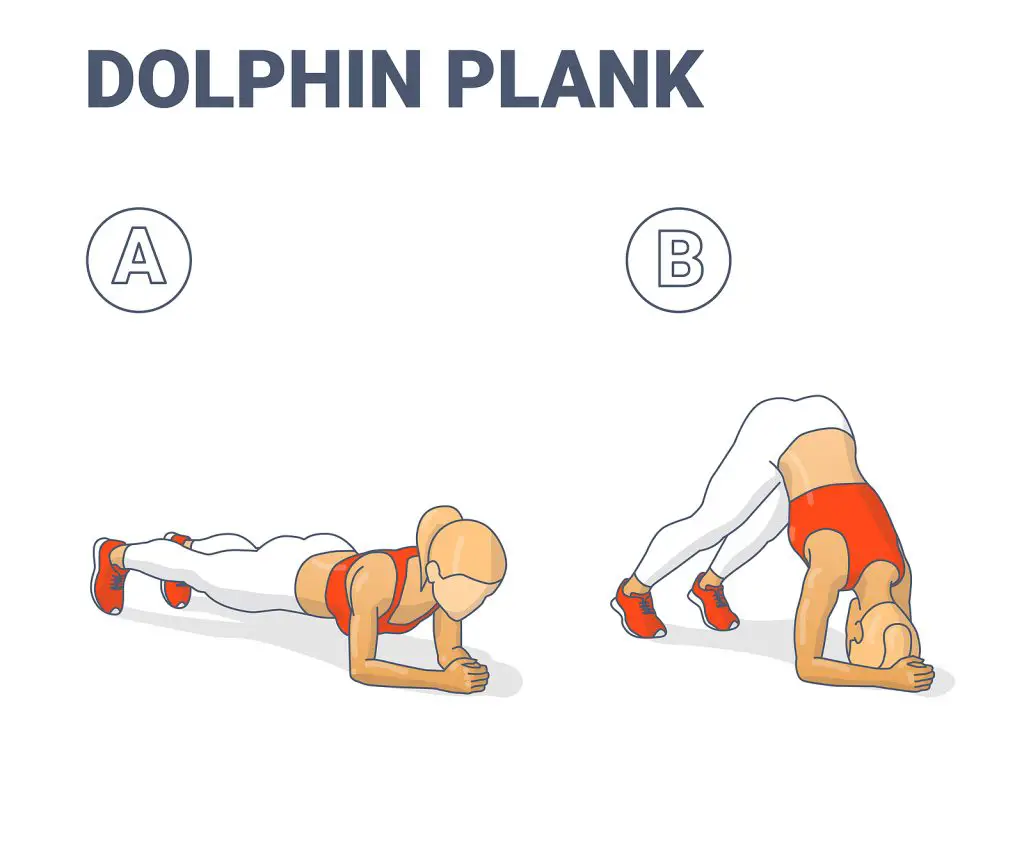 Dolphin Plank Female Home Workout Exercise Guide Colorful Concep