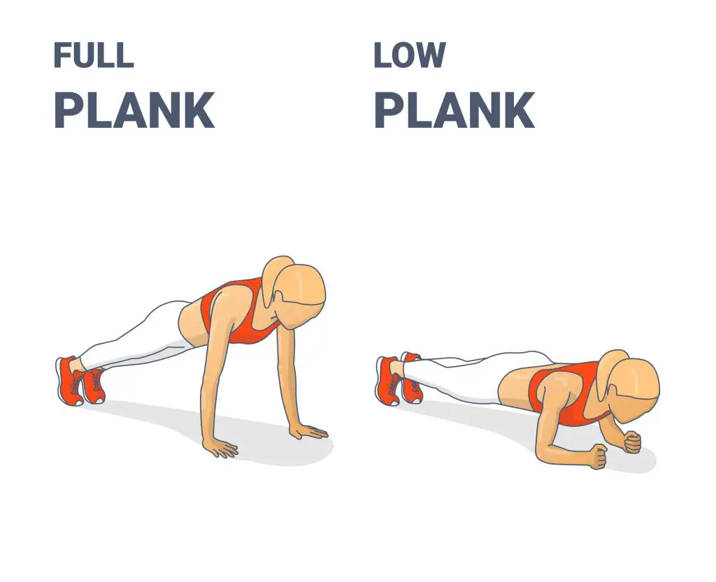 Full and Elbow Plank Exercises Illustration