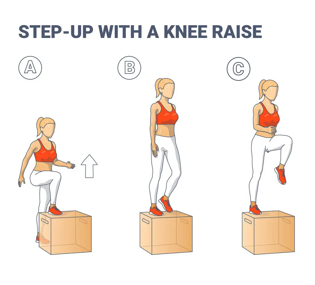 Step Up With A Knee Raise Exercise For Female Home Workout Guida